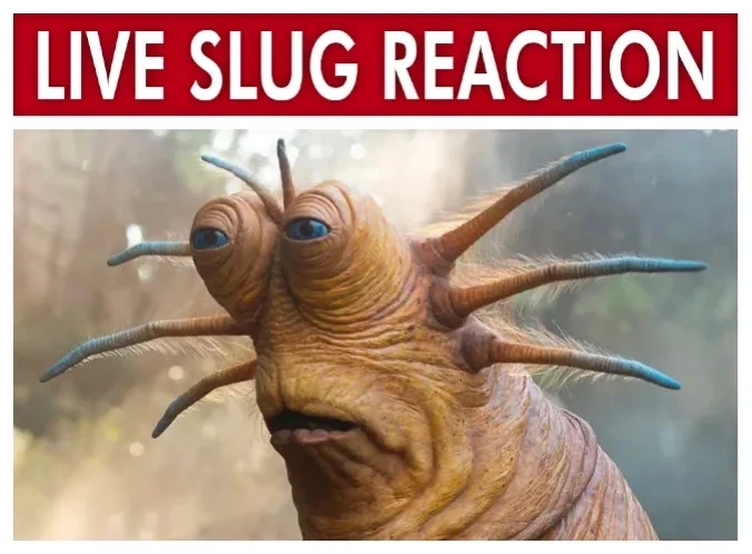Ruben's banner