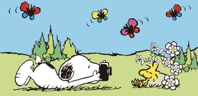 Snoopy's banner