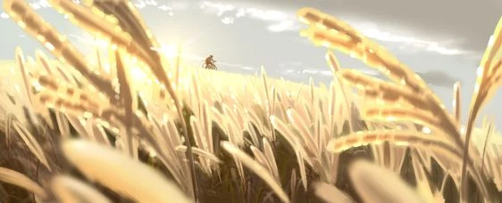 Sun's banner