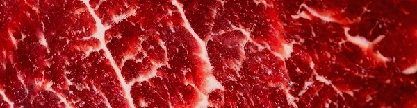 𝚂𝚎𝚛𝚊𝚙𝚑𝚂𝚢𝚜's banner