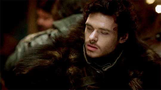Robb Stark's banner