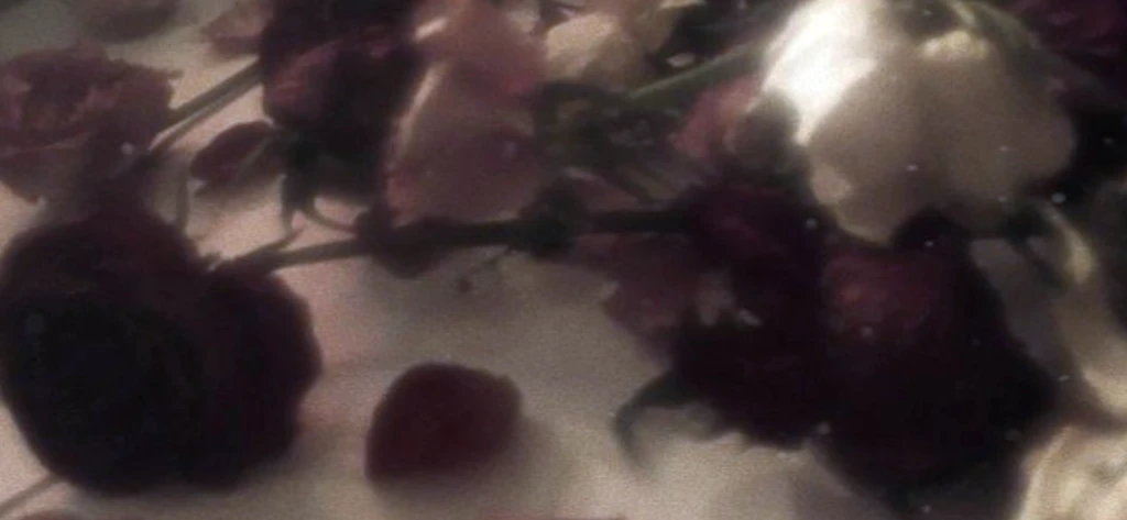 𝑷𝒐𝒓𝒕𝒆𝒓's banner