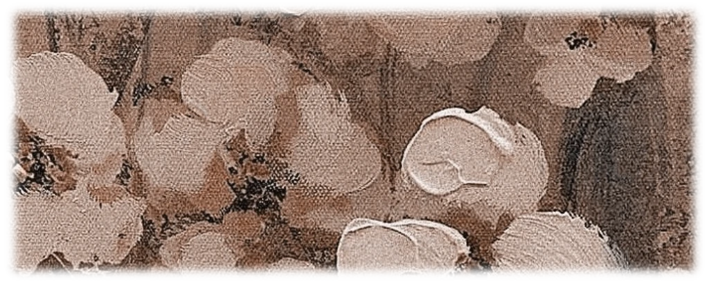 𝓑𝒆𝒏𝒆𝒅𝒊𝒄𝒕's banner