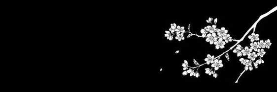 Unidentified's banner