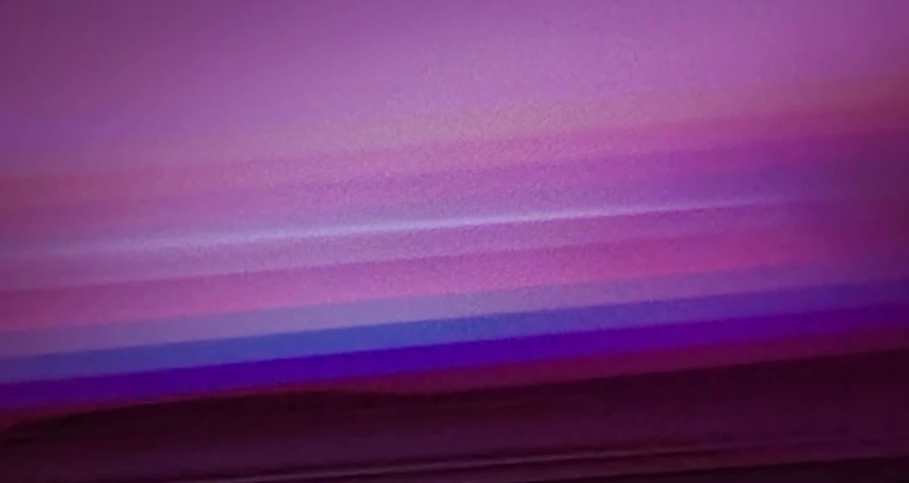 Pedro⭑ 🌶️'s banner