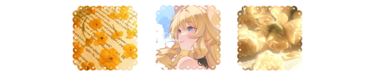 ﹙🌂 ; Navia / Amber 𓋼 She.Her ✿₊'s banner