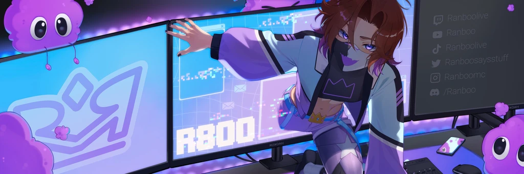Ranboo's banner