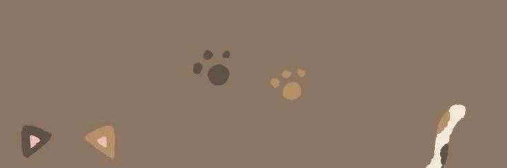 Felix's banner