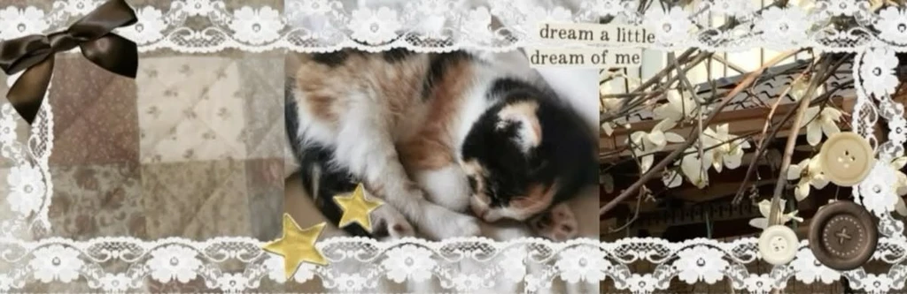 CALICO's banner