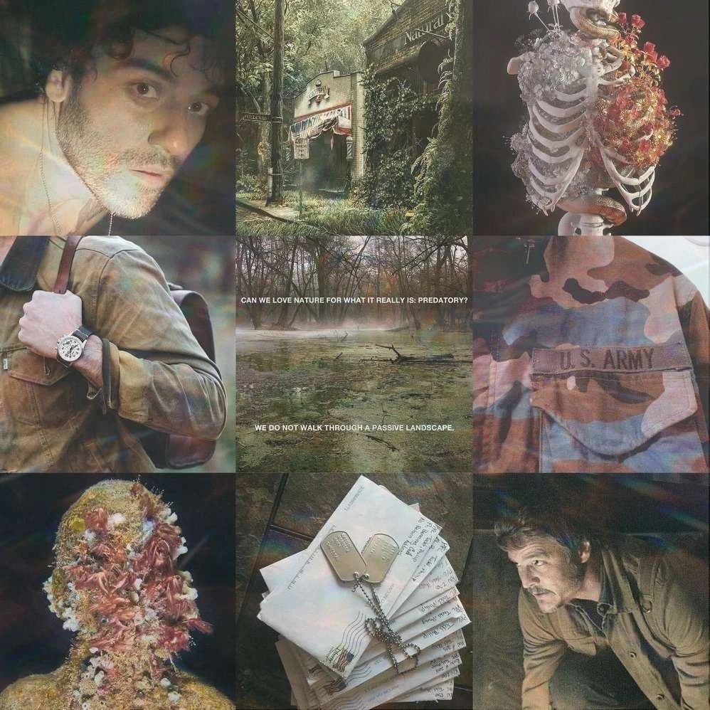 Kane?⭑ 🏵️'s banner