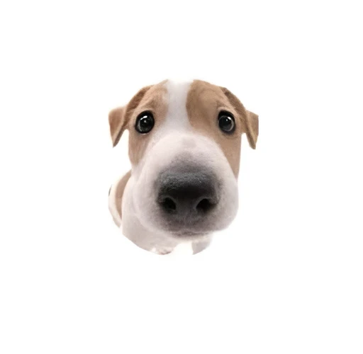 RE!Peter's avatar