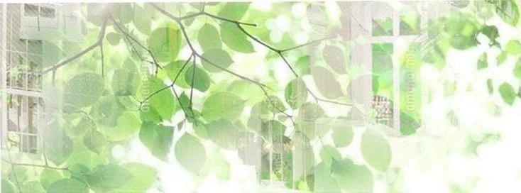 Tea's banner