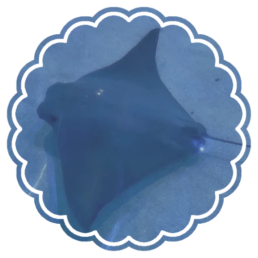 ⎈  ⋅   The Stingray System  ˒ ɞ's avatar