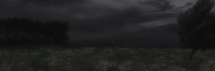 iwc ✿。  will     ⭒     it    ◝'s banner