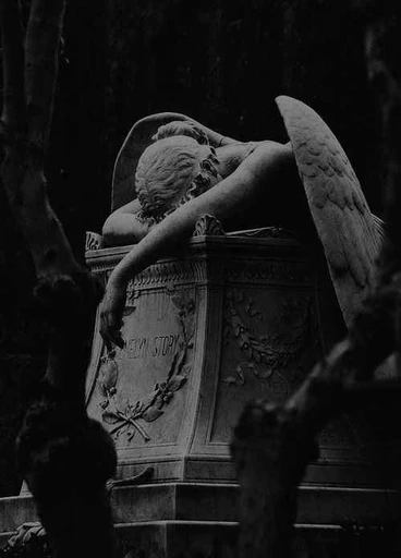 Ronan⭑ 🪽's avatar