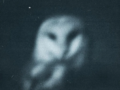 blurry's avatar