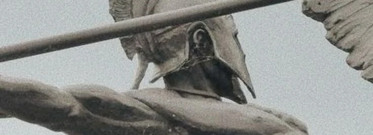 ﹙🏹 ; Odysseus 𓋼 He.Him ✿ ₊'s banner