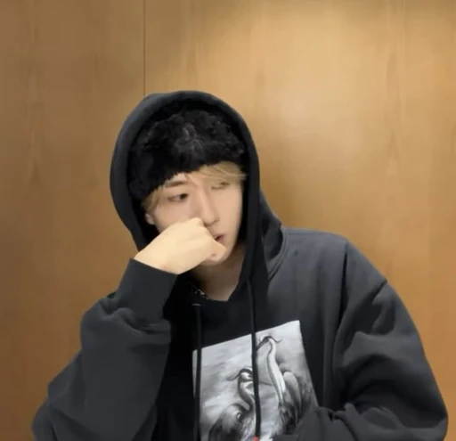 ❝﹒han jisung ⸝⸝ they zir it he's avatar
