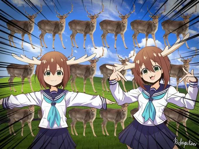 Noko's banner