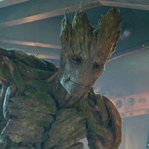 Groot⭑ 🌳's avatar