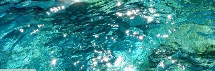 mer's banner
