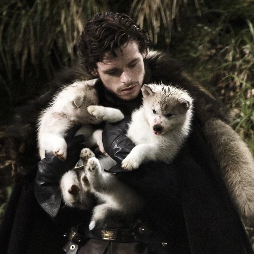 Robb Stark's avatar