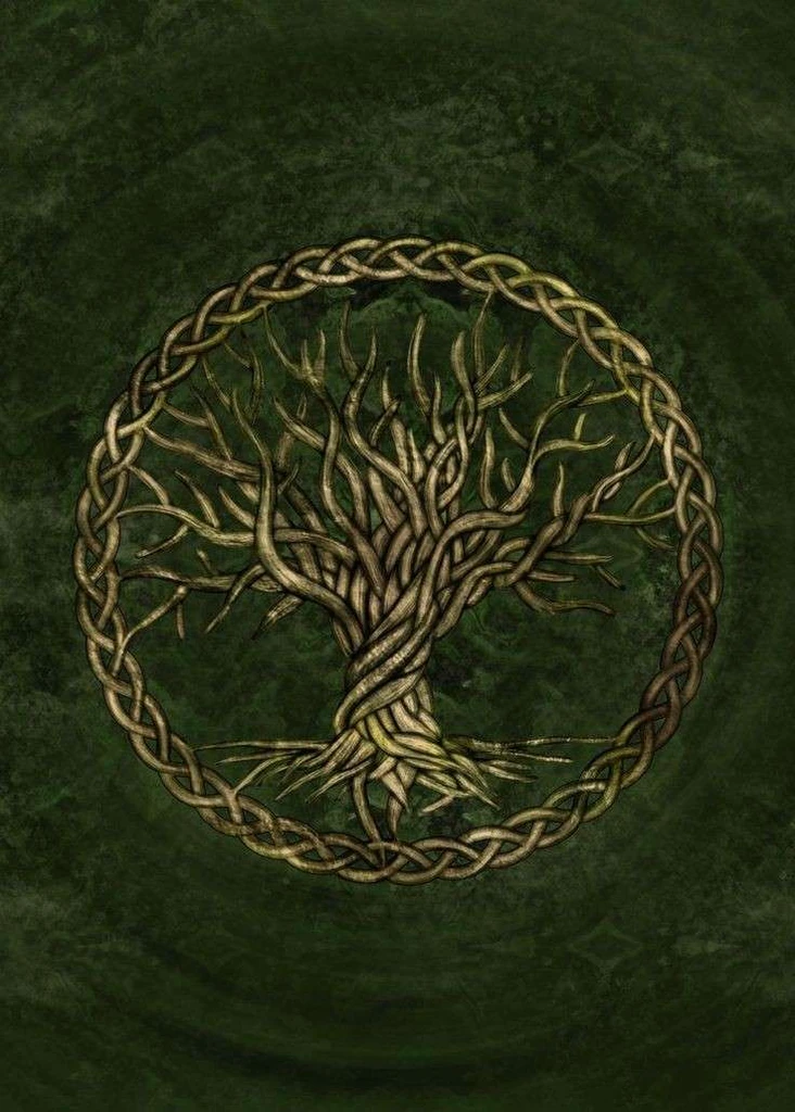 V!Loki⭑ 🌱's banner