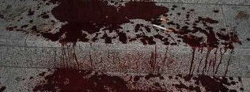 < 🪚 // #######'s banner