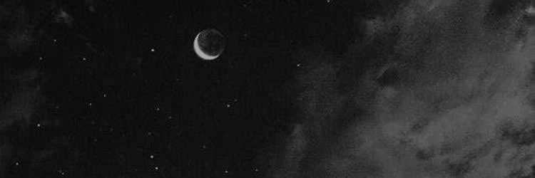 selene's banner