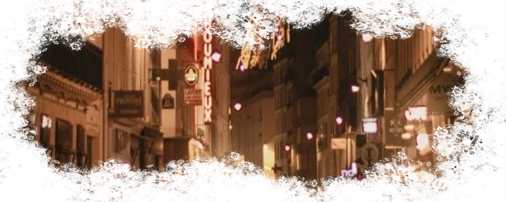 ✿    i.n    𖹭    .    they them's banner