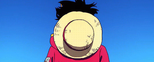 Luffy's banner