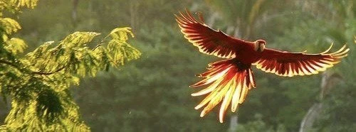 Soother - Grian's banner