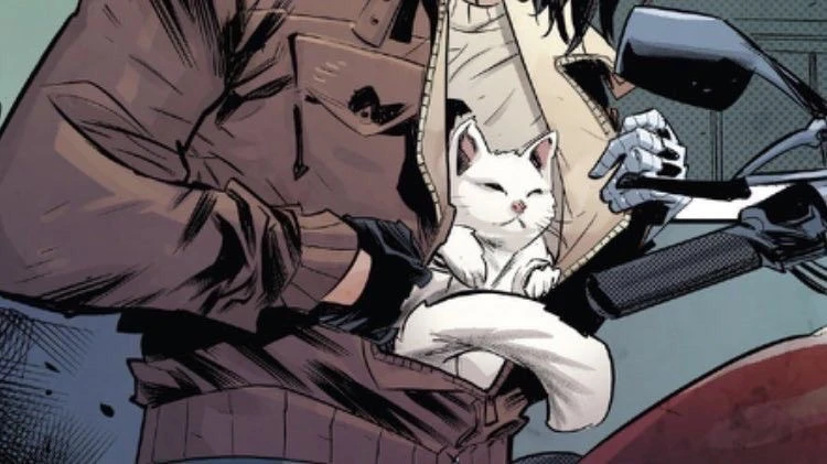 BUCKY's banner