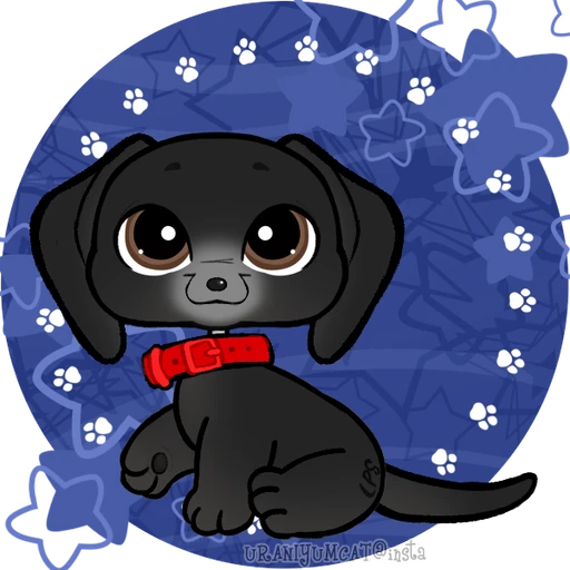 matt's avatar