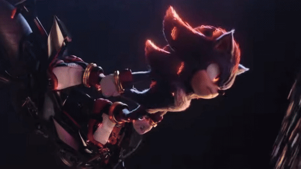 sonic's banner