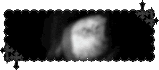 test's banner