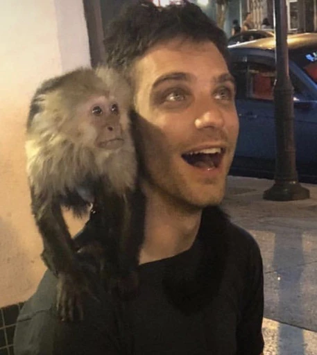 Buggy⭑ 🤡's avatar