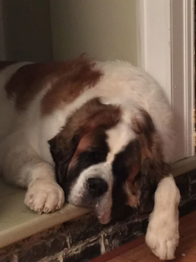 Bernard 🗯️'s avatar