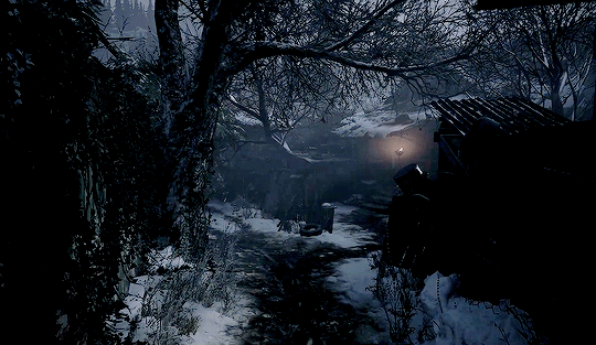 Aleena Cole's banner