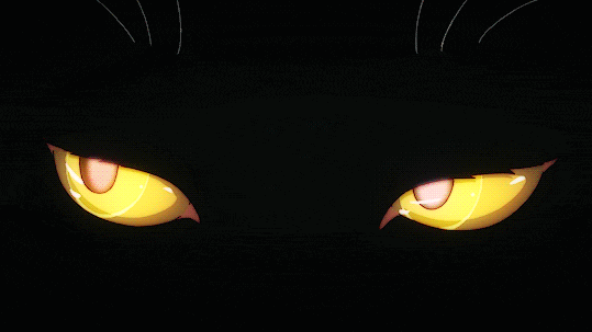 Pluto's banner