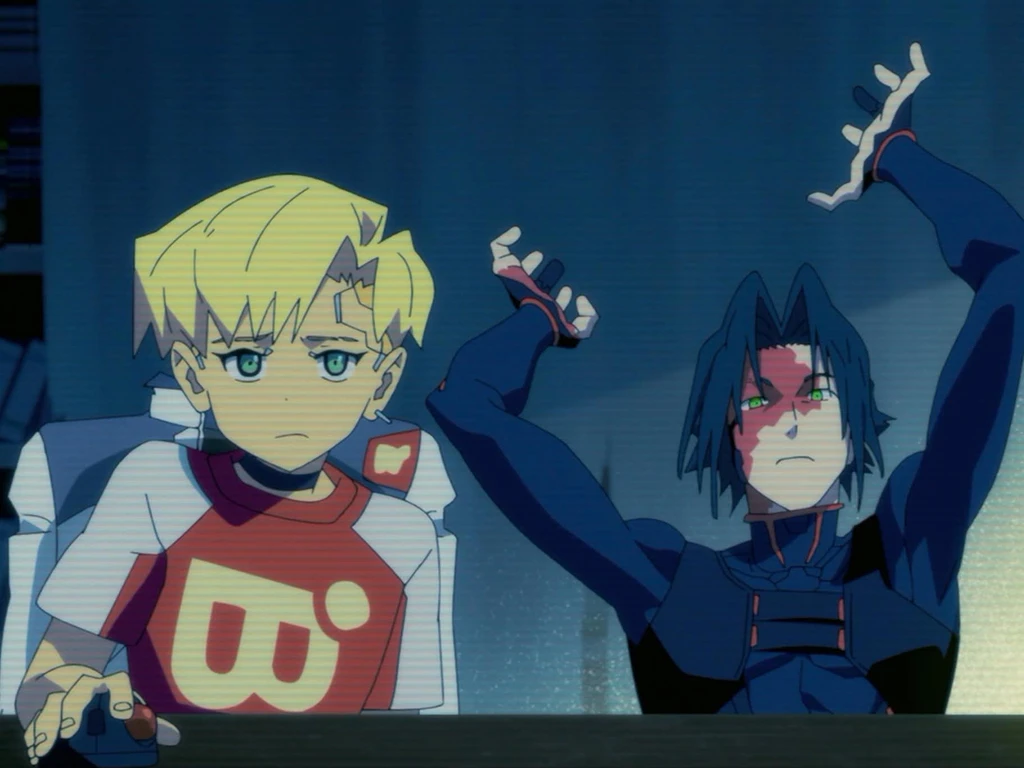 D's banner