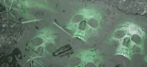 Starflesh Syndicate's banner