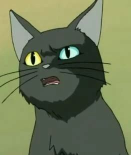Oracle's avatar