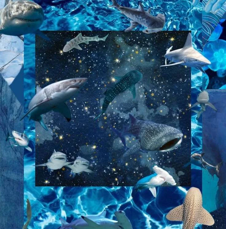 Arthur⭑ 🐠's banner