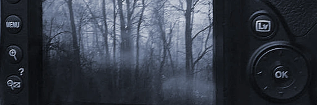 KRALIE's banner