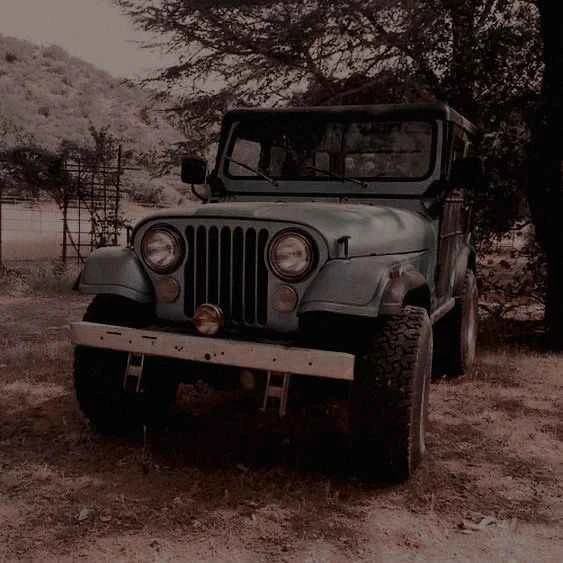 Stiles⭑ 🥍's banner