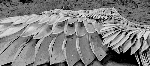 Jay Merrick [👻]'s banner