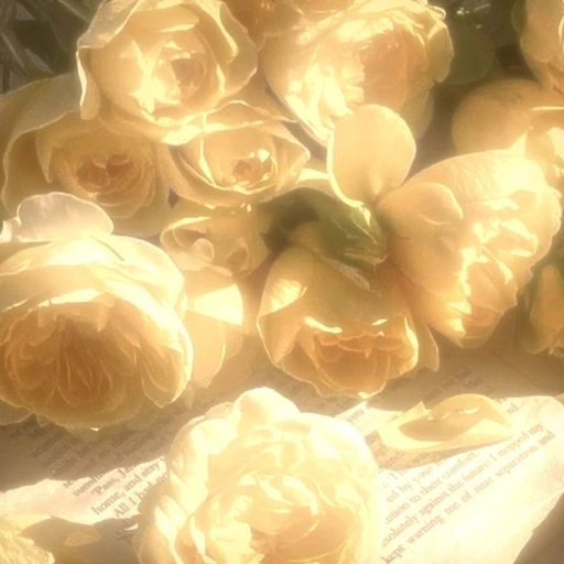 ᛝ　Atlas von Schlichting's avatar