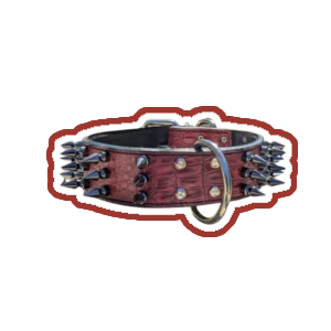 cerberus🐺's avatar