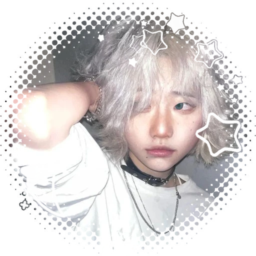 ✦ ❝ sylvie ❞ ✦ — they / silver / he / she / zae's avatar